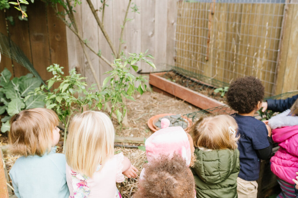 Children learning about outdoor gardening