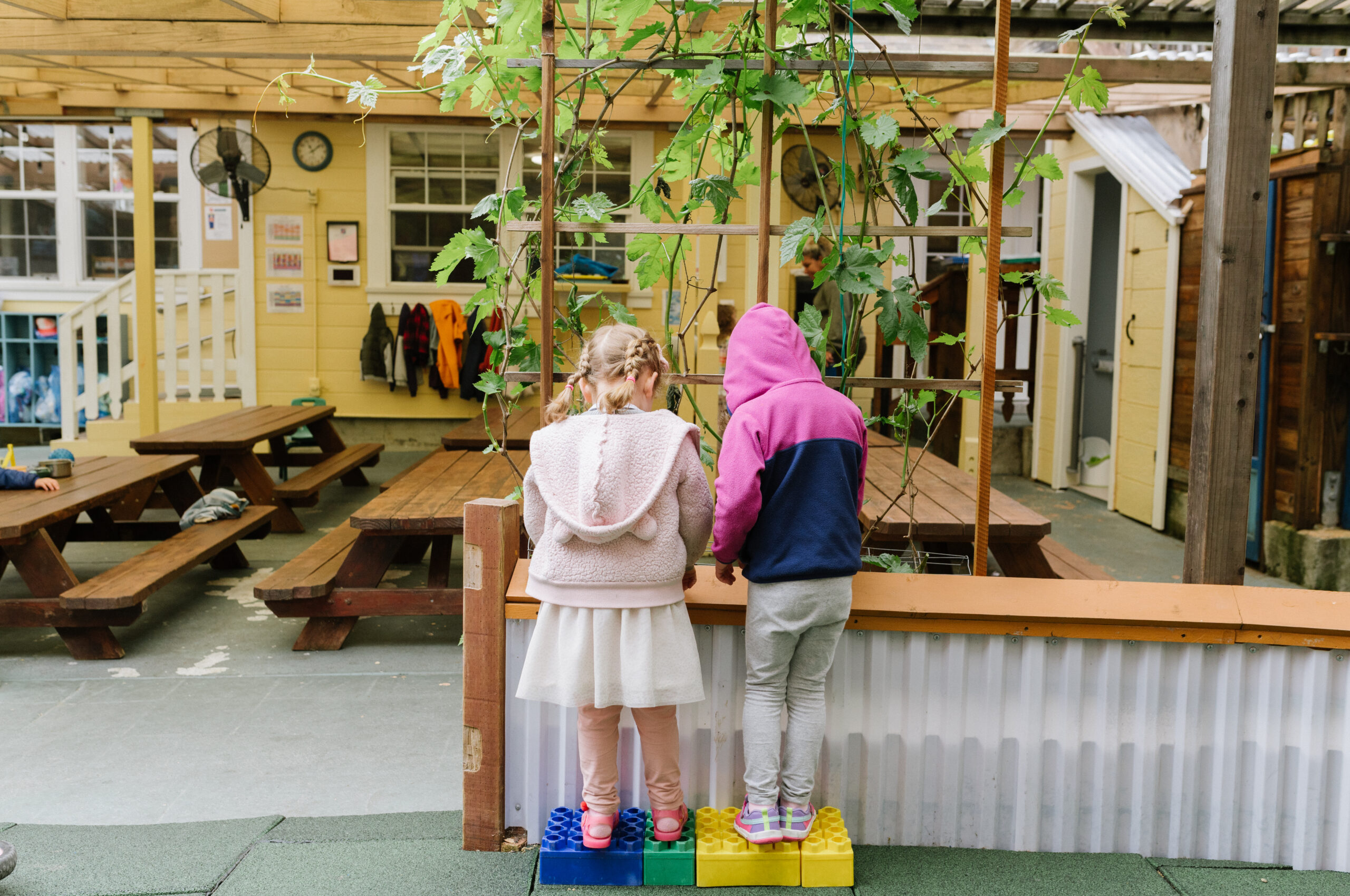 Two kids standing on blocks outside in a picnic area